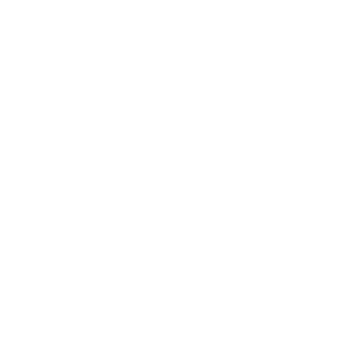 YNAE B