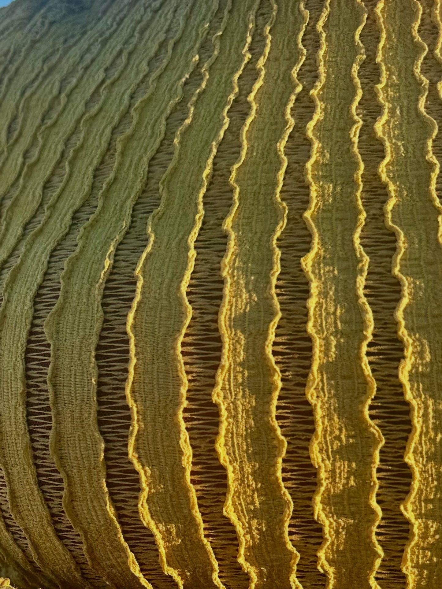 Sahara Sands Two-Piece Skirt Set