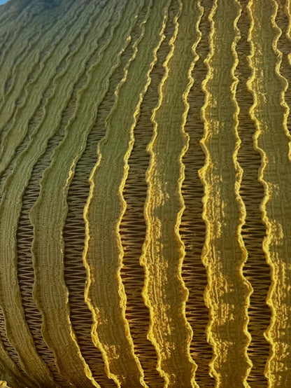 Sahara Sands Two-Piece Skirt Set