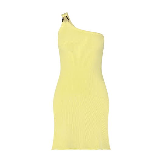 Heatwave Mini Dress